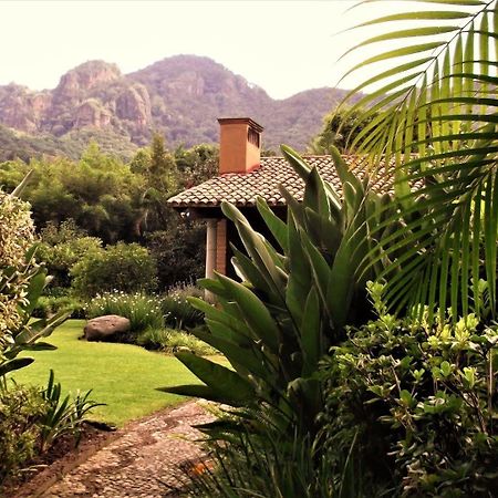 Arete (Adults Only) Hotel Tepoztlán Eksteriør billede