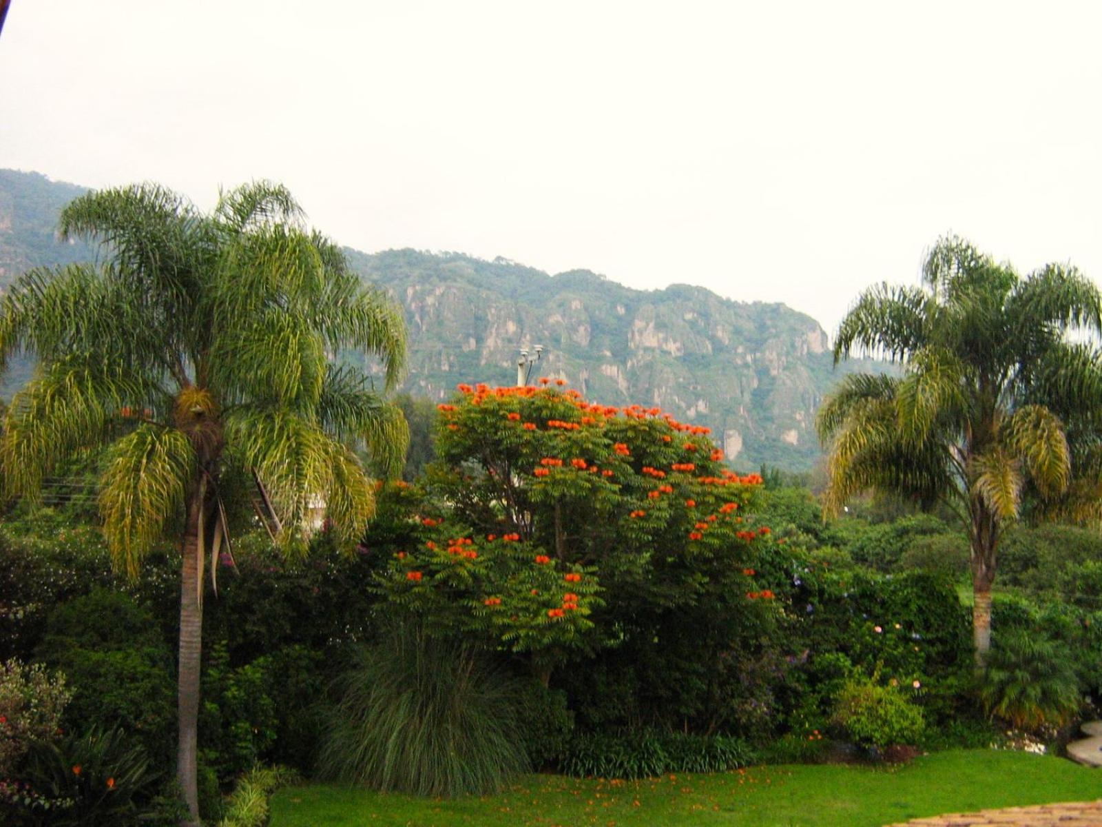 Arete (Adults Only) Hotel Tepoztlán Eksteriør billede